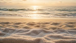 Beach Towel in the sand by the shore